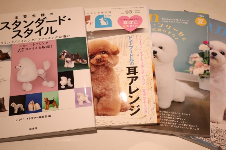 写真