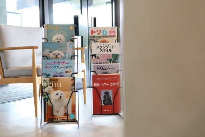 写真